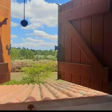 Дом отдыха Tranquil Villa, Nature S Embrace