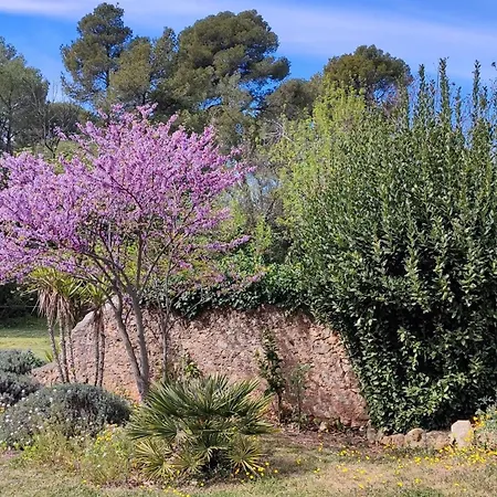 בית נופש Tranquil Villa, Nature S Embrace Cazouls-lès-Béziers