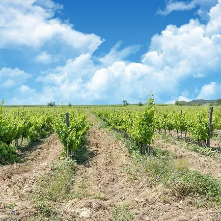 Tranquil Villa, Nature S Embrace Cazouls-les-Beziers