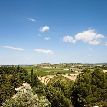 Tranquil Villa, Nature S Embrace * Cazouls-les-Beziers